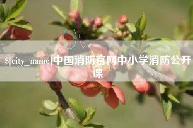 茂名中国消防官网中小学消防公开课