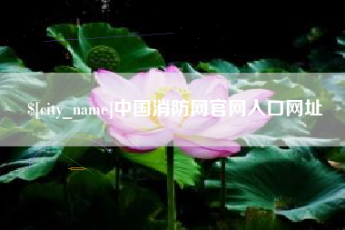 茂名中国消防网官网入口网址