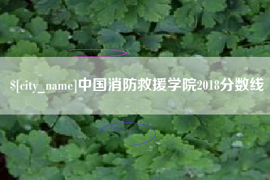 茂名中国消防救援学院2018分数线