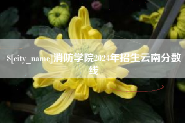 茂名消防学院2024年招生云南分数线