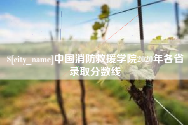 茂名中国消防救援学院2020年各省录取分数线