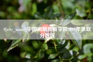 茂名中国消防救援学院2019年录取分数线