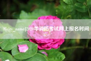 茂名2020年消防考试网上报名时间