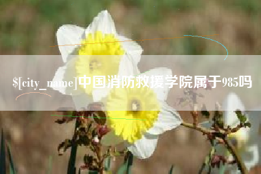 茂名中国消防救援学院属于985吗