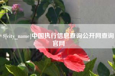 茂名中国执行信息查询公开网查询官网
