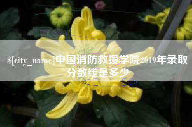 茂名中国消防救援学院2019年录取分数线是多少