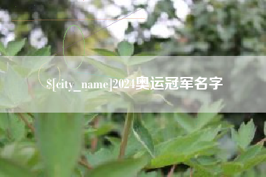 茂名2024奥运冠军名字