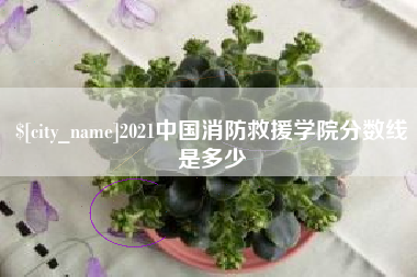 茂名2021中国消防救援学院分数线是多少
