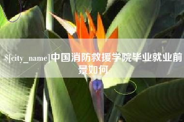 茂名中国消防救援学院毕业就业前景如何