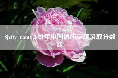 茂名2021年中国消防学院录取分数线