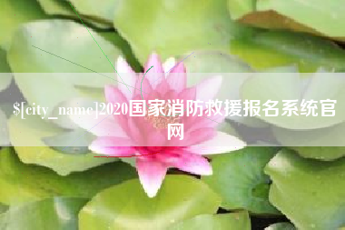 茂名2020国家消防救援报名系统官网