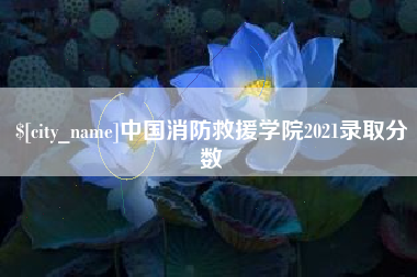 茂名中国消防救援学院2021录取分数