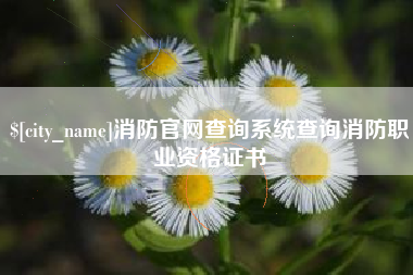 茂名消防官网查询系统查询消防职业资格证书