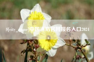 茂名中国消防官网报名入口2024