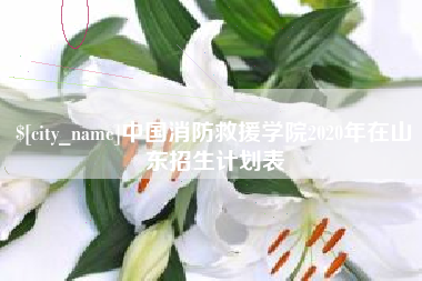 茂名中国消防救援学院2020年在山东招生计划表
