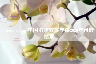 茂名中国消防救援学院2020年录取结果