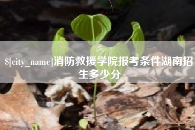 茂名消防救援学院报考条件湖南招生多少分