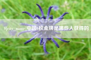 茂名中国6枚金牌是哪些人获得的