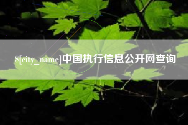 茂名中国执行信息公开网查询