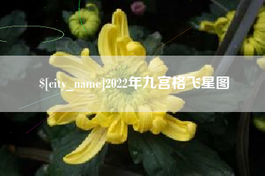 茂名2022年九宫格飞星图