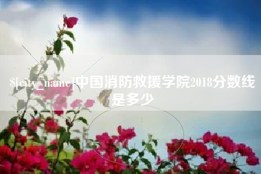 茂名中国消防救援学院2018分数线是多少