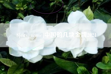 茂名中国的几块金牌2021