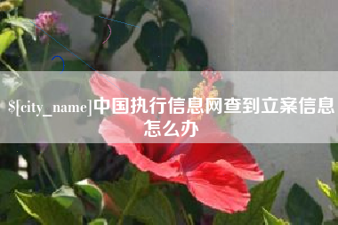 茂名中国执行信息网查到立案信息怎么办