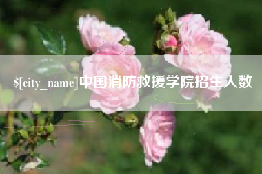 茂名中国消防救援学院招生人数