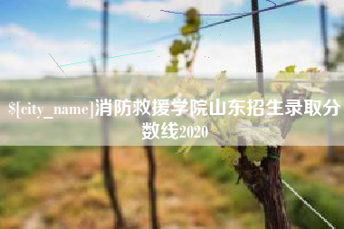 茂名消防救援学院山东招生录取分数线2020