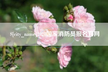茂名2021国家消防员报名官网