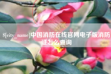 茂名中国消防在线官网电子版消防证怎么查询