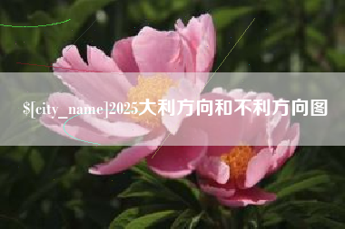 茂名2025大利方向和不利方向图