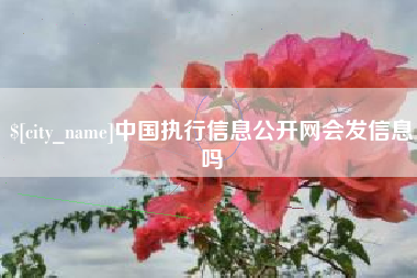 茂名中国执行信息公开网会发信息吗