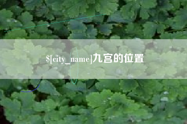 茂名九宫的位置