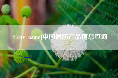 茂名中国消防产品信息查询