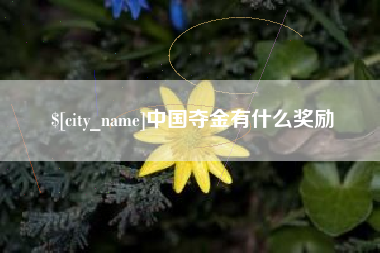 茂名中国夺金有什么奖励
