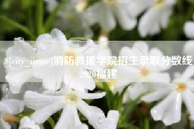茂名消防救援学院招生录取分数线2020福建
