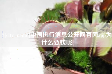 茂名中国执行信息公开网官网app为什么要钱呢