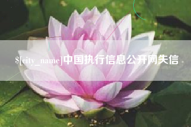茂名中国执行信息公开网失信