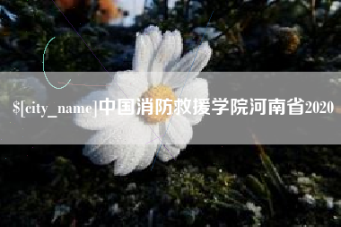 茂名中国消防救援学院河南省2020